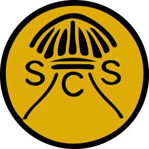 St Clare's Catholic Primary School